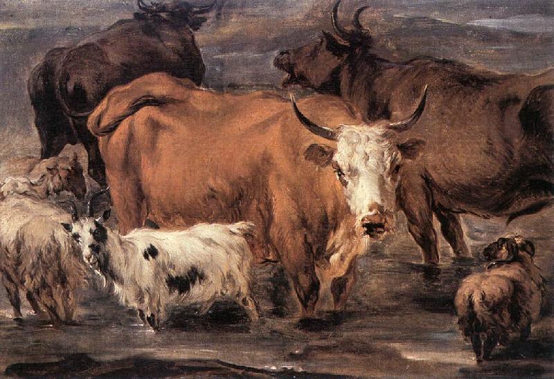 BERCHEM, Nicolaes Animal Study dd oil painting image